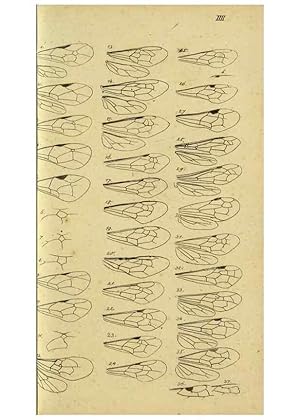 Immagine del venditore per Reproduccin/Reproduction 9784760483: Nomenclator Entomologicus. Regensburg,F. Pustet,1835-40. venduto da EL BOLETIN