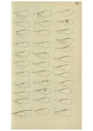 Bild des Verkufers fr Reproduccin/Reproduction 9784701956: Nomenclator Entomologicus. Regensburg,F. Pustet,1835-40. zum Verkauf von EL BOLETIN