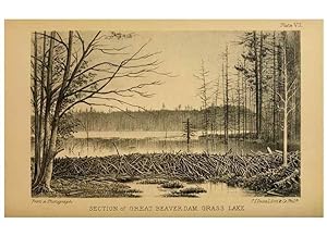Immagine del venditore per Reproduccin/Reproduction 8357332787: The American beaver and his works. Philadelphia,J.B. Lippincott & Co.,1868. venduto da EL BOLETIN