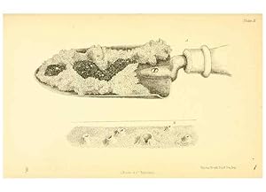 Bild des Verkufers fr Reproduccin/Reproduction 8361663758: Harvesting ants and trap-door spiders. London,L. Reeve & co.,1873. zum Verkauf von EL BOLETIN