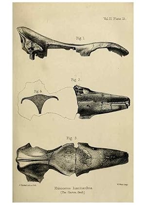 Image du vendeur pour Reproduccin/Reproduction 8436434810: Palaeontological memoirs and notes of H. Falconer, with a biographical sketch of the author. London,1868. mis en vente par EL BOLETIN