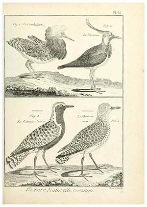 Immagine del venditore per Reproduccin/Reproduction 7850580316: Tableau encyclopdique et mthodique des trois rgnes de la nature. A Paris :Chez Mme. veuve Agasse .,1823. venduto da EL BOLETIN