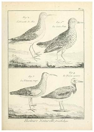 Immagine del venditore per Reproduccin/Reproduction 7850582426: Tableau encyclopdique et mthodique des trois rgnes de la nature. A Paris :Chez Mme. veuve Agasse .,1823. venduto da EL BOLETIN