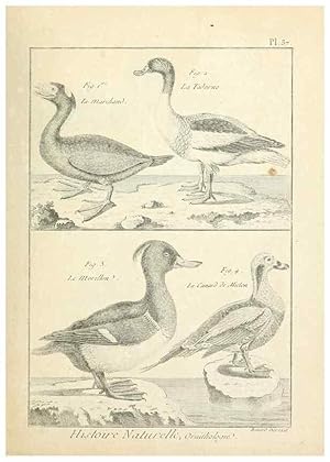 Immagine del venditore per Reproduccin/Reproduction 7850568134: Tableau encyclopdique et mthodique des trois rgnes de la nature. A Paris :Chez Mme. veuve Agasse .,1823. venduto da EL BOLETIN