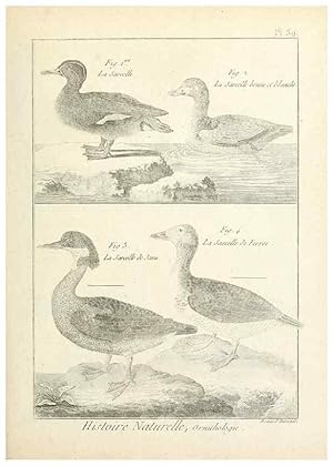 Imagen del vendedor de Reproduccin/Reproduction 7850569266: Tableau encyclopdique et mthodique des trois rgnes de la nature. A Paris :Chez Mme. veuve Agasse .,1823. a la venta por EL BOLETIN