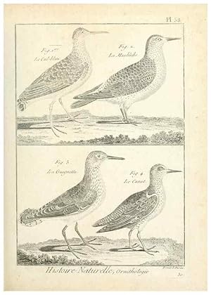 Immagine del venditore per Reproduccin/Reproduction 7850581810: Tableau encyclopdique et mthodique des trois rgnes de la nature. A Paris :Chez Mme. veuve Agasse .,1823. venduto da EL BOLETIN