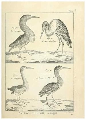 Immagine del venditore per Reproduccin/Reproduction 7850576116: Tableau encyclopdique et mthodique des trois rgnes de la nature. A Paris :Chez Mme. veuve Agasse .,1823. venduto da EL BOLETIN