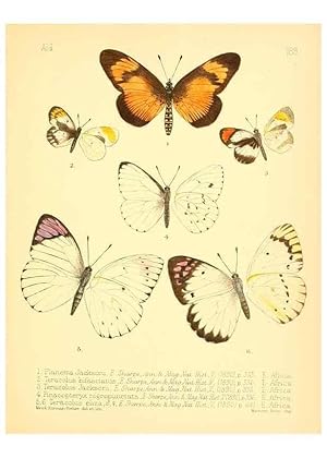 Bild des Verkufers fr Reproduccin/Reproduction 7796391282: Aid to the identification of insects /. London :E.W. Janson,1880-90. zum Verkauf von EL BOLETIN