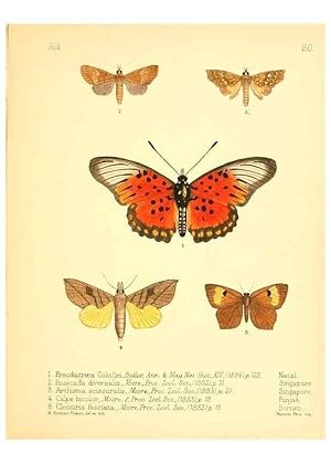 Bild des Verkufers fr Reproduccin/Reproduction 7796362112: Aid to the identification of insects /. London :E.W. Janson,1880-90. zum Verkauf von EL BOLETIN