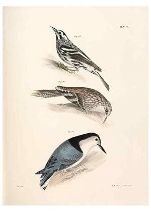 Imagen del vendedor de Reproduccin/Reproduction 7894675210: Zoology of New York;. Albany :W. & A. White & J. Visscher :1842-44. a la venta por EL BOLETIN