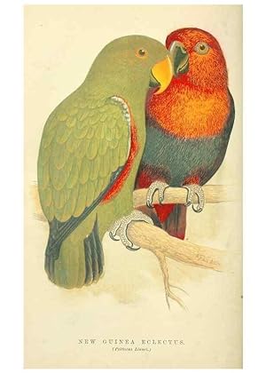 Bild des Verkufers fr Reproduccin/Reproduction 7979742827: The speaking parrots:. London,L.U. Gill[1884] zum Verkauf von EL BOLETIN