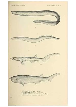 Bild des Verkufers fr Reproduccin/Reproduction 7983257160: The fishes of North and Middle America :. Washington :Smithsonian Institution, United States National Museum,1896-1900. zum Verkauf von EL BOLETIN