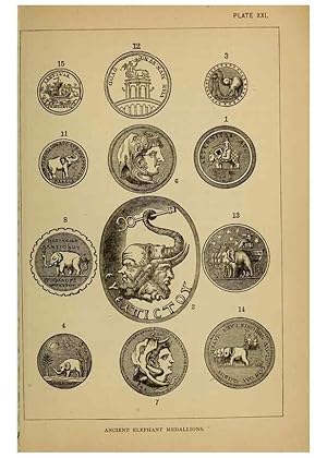 Image du vendeur pour Reproduccin/Reproduction 7583958098: The ivory king;. New York,C. Scribners sons,1886. mis en vente par EL BOLETIN