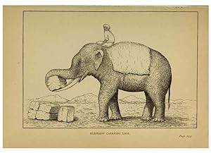 Bild des Verkufers fr Reproduccin/Reproduction 7583950160: The ivory king;. New York,C. Scribners sons,1886. zum Verkauf von EL BOLETIN