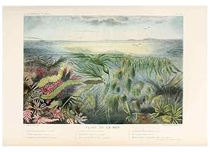 Seller image for Reproduccin/Reproduction 8202730069: Le monde de la mer . Paris,L. Hachette & Cie,1866. for sale by EL BOLETIN