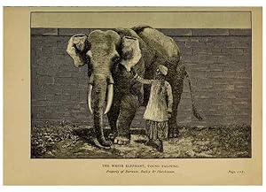 Bild des Verkufers fr Reproduccin/Reproduction 7583944512: The ivory king;. New York,C. Scribners sons,1886. zum Verkauf von EL BOLETIN