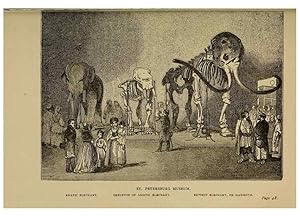 Image du vendeur pour Reproduccin/Reproduction 7583932808: The ivory king;. New York,C. Scribners sons,1886. mis en vente par EL BOLETIN