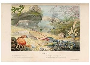 Immagine del venditore per Reproduccin/Reproduction 8202741657: Le monde de la mer . Paris,L. Hachette & Cie,1866. venduto da EL BOLETIN