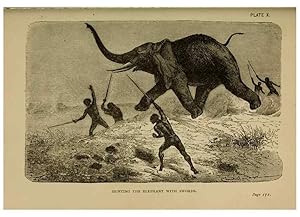 Image du vendeur pour Reproduccin/Reproduction 7583942536: The ivory king;. New York,C. Scribners sons,1886. mis en vente par EL BOLETIN