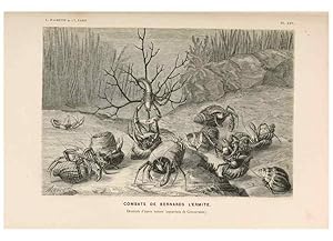 Seller image for Reproduccin/Reproduction 8202742939: Le monde de la mer . Paris,L. Hachette & Cie,1866. for sale by EL BOLETIN