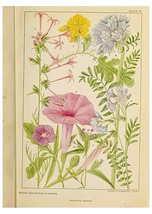 Seller image for Reproduccin/Reproduction 8220461305: Flowers of mountain and plain /. New York :H.W. Wilson Co.,1920. for sale by EL BOLETIN