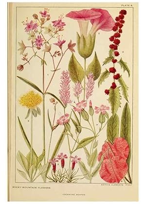 Bild des Verkufers fr Reproduccin/Reproduction 8220459415: Flowers of mountain and plain /. New York :H.W. Wilson Co.,1920. zum Verkauf von EL BOLETIN