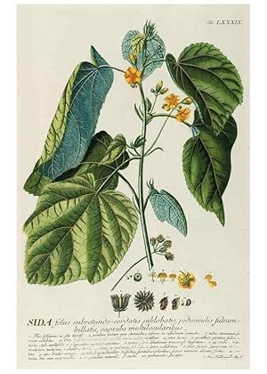 Seller image for Reproduccin/Reproduction 8050649127: Plantae selectae quarum imagines ad exemplaria naturalia Londini, in hortis curiosorum nutrita. [S.l. :s.n.],1750-1773. for sale by EL BOLETIN