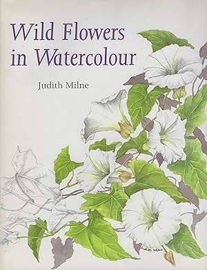 Wild Flowers in Watercolour
