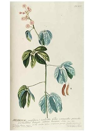 Image du vendeur pour Reproduccin/Reproduction 8050655235: Plantae selectae quarum imagines ad exemplaria naturalia Londini, in hortis curiosorum nutrita. [S.l. :s.n.],1750-1773. mis en vente par EL BOLETIN