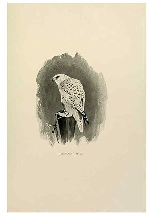 Seller image for Reproduccin/Reproduction 8076817760: Lord Lilford on birds:. London,Hutchinson,1903. for sale by EL BOLETIN