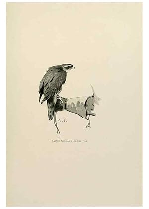 Seller image for Reproduccin/Reproduction 8076823293: Lord Lilford on birds:. London,Hutchinson,1903. for sale by EL BOLETIN