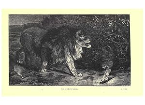 Seller image for Reproduccin/Reproduction 6505685379: Wild beasts and their ways London,Macmillan and co.,1890 for sale by EL BOLETIN