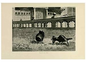 Seller image for Reproduccin/Reproduction 8076814808: Lord Lilford on birds:. London,Hutchinson,1903. for sale by EL BOLETIN