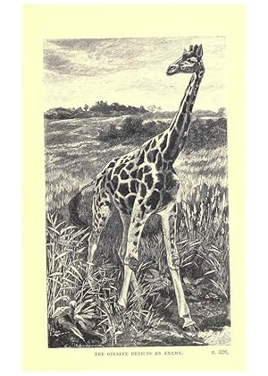 Imagen del vendedor de Reproduccin/Reproduction 6505689593: Wild beasts and their ways London,Macmillan and co.,1890 a la venta por EL BOLETIN