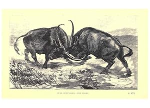 Image du vendeur pour Reproduccin/Reproduction 6505686925: Wild beasts and their ways London,Macmillan and co.,1890 mis en vente par EL BOLETIN