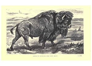 Image du vendeur pour Reproduccin/Reproduction 6505687429: Wild beasts and their ways London,Macmillan and co.,1890 mis en vente par EL BOLETIN