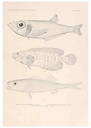 Bild des Verkufers fr Reproduccin/Reproduction 6441815329: Oceanic ichthyology. v.22 atlas. Cambridge, U.S.A. :Printed for the Museum,1896 zum Verkauf von EL BOLETIN