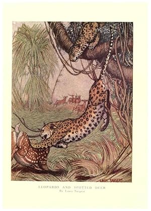 Seller image for Reproduccin/Reproduction 6505639805: The wild beasts of the world. v.1. London :T. C. & E. C. Jack,[1909?] for sale by EL BOLETIN