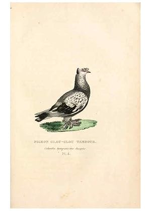 Seller image for Reproduccin/Reproduction 6896437240: Les pigeons. Paris,Audot,1824. for sale by EL BOLETIN