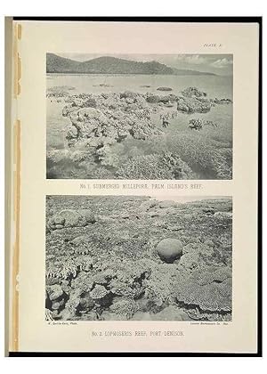 Seller image for Reproduccin/Reproduction 7044659315: The Great Barrier Reef of Australia;. London :W.H. Allen,[1893] for sale by EL BOLETIN