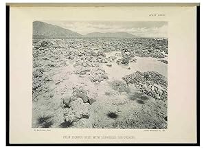 Seller image for Reproduccin/Reproduction 7044663003: The Great Barrier Reef of Australia;. London :W.H. Allen,[1893] for sale by EL BOLETIN