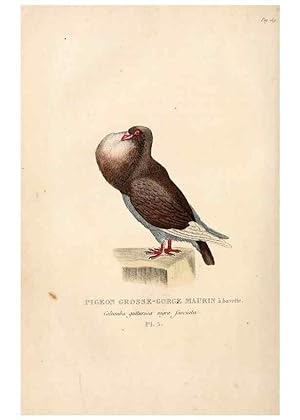 Seller image for Reproduccin/Reproduction 6896438100: Les pigeons. Paris,Audot,1824. for sale by EL BOLETIN