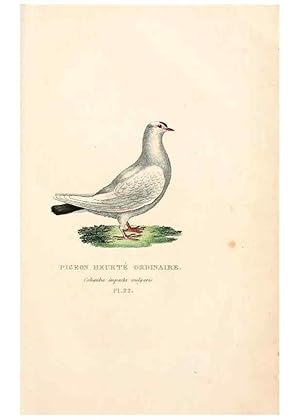 Imagen del vendedor de Reproduccin/Reproduction 6896448802: Les pigeons. Paris,Audot,1824. a la venta por EL BOLETIN