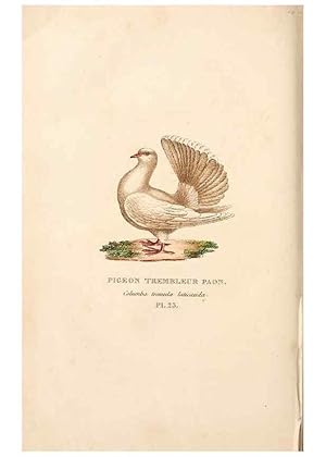 Seller image for Reproduccin/Reproduction 7042546015: Les pigeons. Paris,Audot,1824. for sale by EL BOLETIN