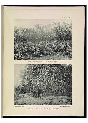 Seller image for Reproduccin/Reproduction 7044667391: The Great Barrier Reef of Australia;. London :W.H. Allen,[1893] for sale by EL BOLETIN