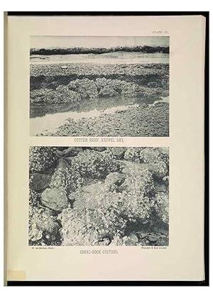 Seller image for Reproduccin/Reproduction 7044667731: The Great Barrier Reef of Australia;. London :W.H. Allen,[1893] for sale by EL BOLETIN