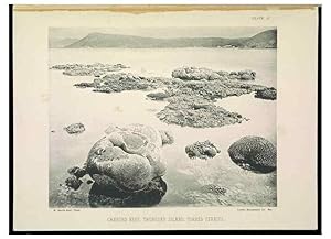 Seller image for Reproduccin/Reproduction 7044657633: The Great Barrier Reef of Australia;. London :W.H. Allen,[1893] for sale by EL BOLETIN