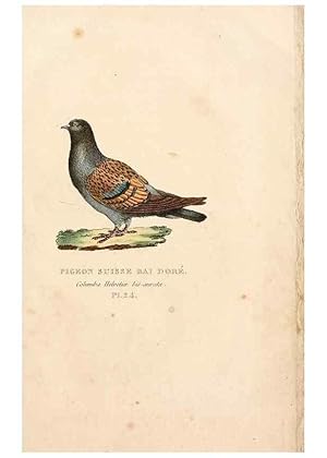 Seller image for Reproduccin/Reproduction 7042546769: Les pigeons. Paris,Audot,1824. for sale by EL BOLETIN