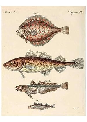 Bild des Verkufers fr Reproduccin/Reproduction 6856601544: Porte-feuille instructif et amusant pour la jeunesse :. vienne,Chez Antoine Pichler,1807. zum Verkauf von EL BOLETIN