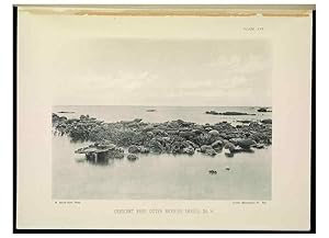 Seller image for Reproduccin/Reproduction 7044659797: The Great Barrier Reef of Australia;. London :W.H. Allen,[1893] for sale by EL BOLETIN